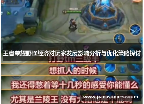 王者荣耀野怪经济对玩家发展影响分析与优化策略探讨